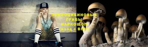 наркотики Богданович