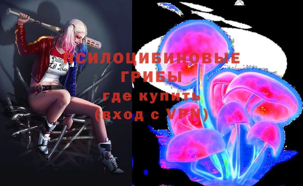 МДМА Богородицк