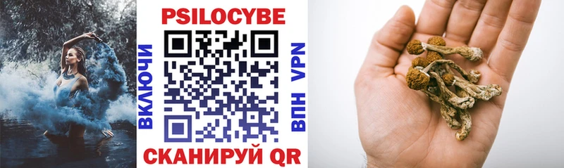 Галлюциногенные грибы мицелий  мега зеркало  Ярославль 